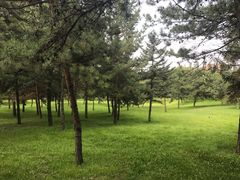 -森林公园(尖草坪区)
