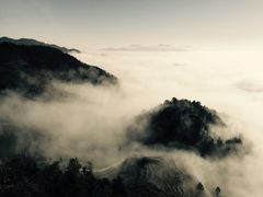 -紫鹊界梯田景区