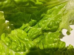 -火炉火自助餐(枫蓝国际店)