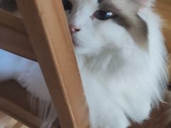 -白兔子密室(长寿路店)