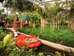 -南宫五洲植物乐园