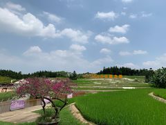 景点-迪茵湖田家舍生态农场