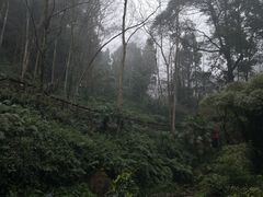 -青城山