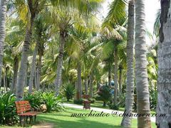 http_imgloadCA3LD7PK-三亚亚龙湾红树林度假酒店