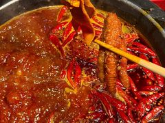 -蜀大侠火锅(总府路店)