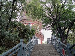 -顺峰山公园