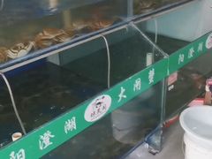 -阳澄湖大闸蟹·琼灵阁牌品牌连锁(吴中总店)