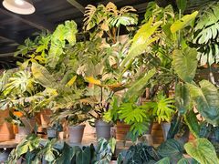 -自由生长植物工作室(深港花卉中心店)