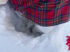 -玲玲米粉·新疆现炒米粉(大十字总店)