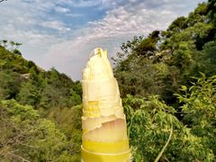 -宁波五龙潭景区