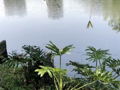 -晓港公园