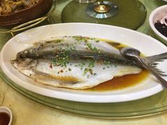 白水鱼-大方圆酒楼(西门大街店)