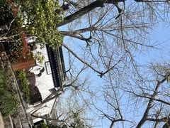 -东山雕花楼
