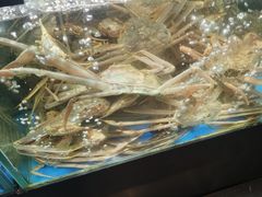 -蟹之国·精品蟹料理(极地店)