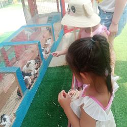 -萌宠亲子动物乐园(槐房万达店)