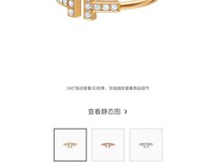 -Tiffany & Co.蒂芙尼
(武汉武商MALL店)