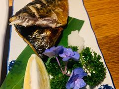 青花鱼-酒井酱子·深夜食堂(东城汇店)