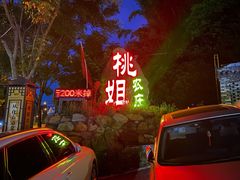 -桃姐农庄老字号(从化温泉店)