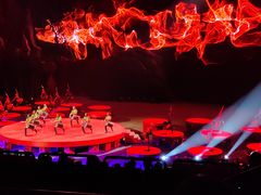 -珠海横琴长隆《卡卡虎奇遇记》