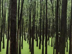 -众神白水涧景区