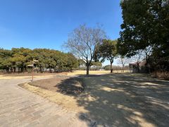 -上海滨江森林公园