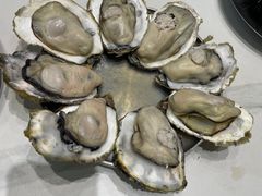 -蚝堡·生蚝海鲜烧烤物种起源•海肠捞饭(刘公岛店)