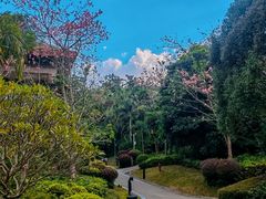 -广州从化都喜泰丽度假酒店温泉