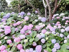 -纽斯桑拿会所(天山店)