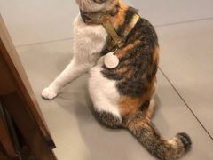 -Again Coffee Roaster(香蜜湖店)