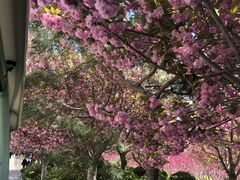 -石岛赤山风景区