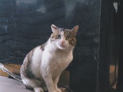 -UNI UNI(环亚凯瑟琳店)