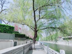 -金宫殿故址
