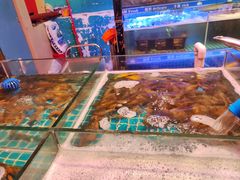 -领鲜活海鲜榴莲自助火锅(东门店)