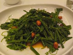 凉拌丝瓜尖-金三杯酒家(泉城路店)