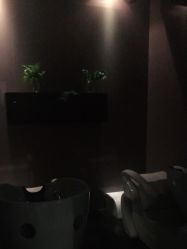 -史云逊养发护发