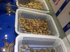 水产区-悦巷海鲜自助铁板烧(秦皇东大街店)