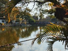 -东莞市可园博物馆