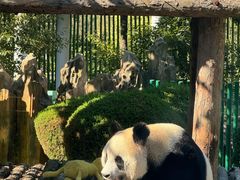 -大连森林动物园