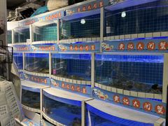 -黄记大闸蟹专卖店·活蟹·醉蟹