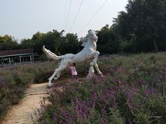 -广东花都香草世界旅游度假区