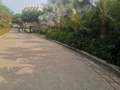 -八婆婆烧仙草(中山路店)