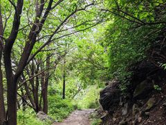 -阳台山自然风景区