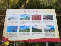 -灵光寺
