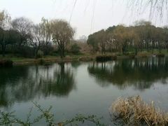 -江南天池