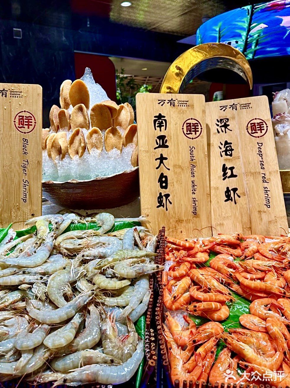 深圳海鲜自助天花板❗️‼️小青龙畅吃㊙️ 直接回本💯💯
