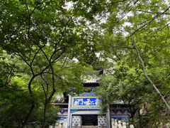 -石老人观光园
