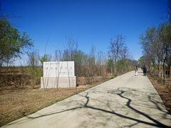 -西青郊野公园