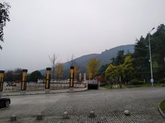 -铁山坪森林公园