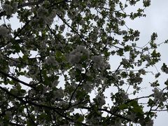 -玄武湖景区-情侣园游乐场