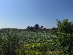 -上海海湾国家森林公园